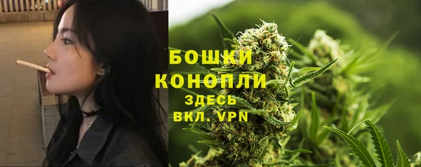 мдпв Козловка