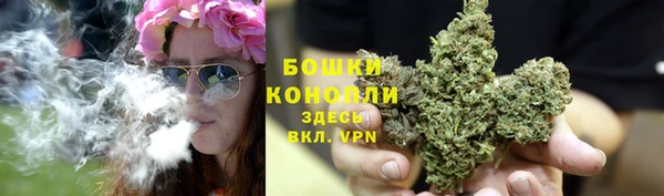 мдпв Козловка