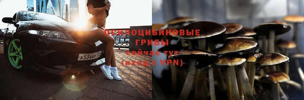 2c-b Кодинск