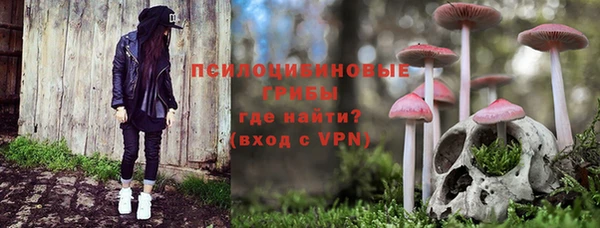 первитин Козельск