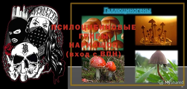 2c-b Кодинск