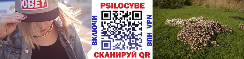 Псилоцибиновые грибы прущие грибы  Купить  Енисейск 